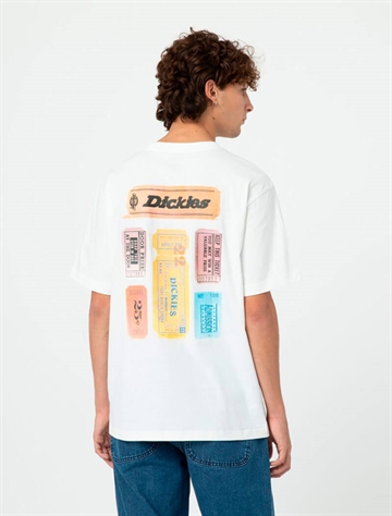 Dickies T-shirt Paxico s/s White